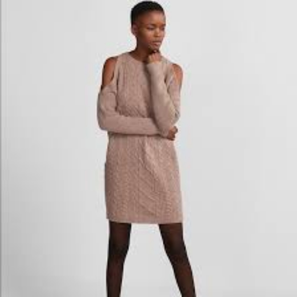Express sweater dress
